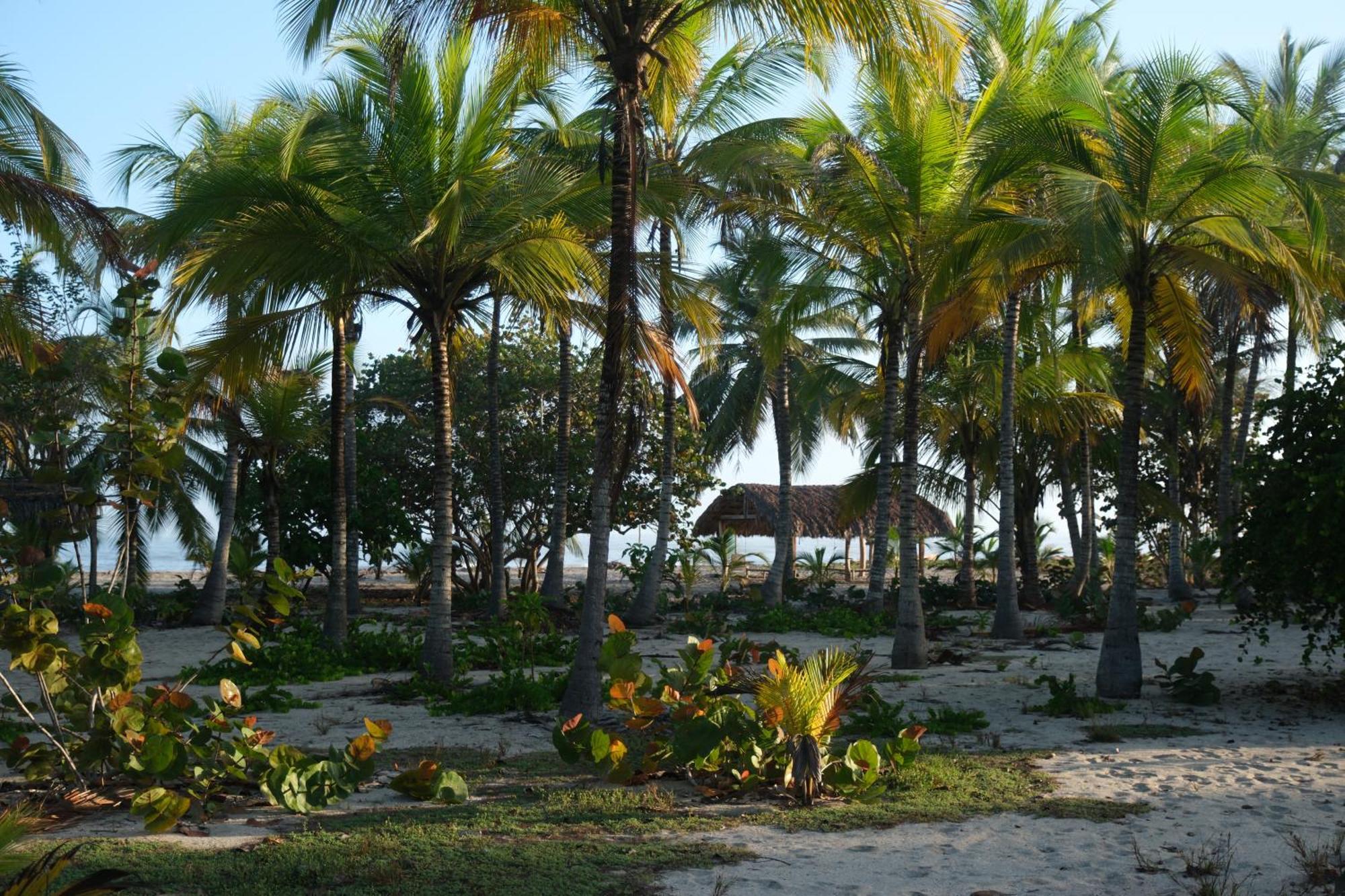 Hotel Playa Bonita Tayrona Buritaca Exterior photo